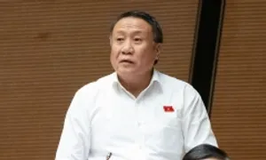 'Không nên bắt buộc taxi lắp ghế an toàn trẻ em'